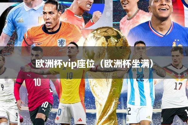 欧洲杯vip座位（欧洲杯坐满）