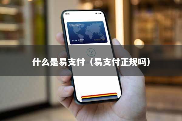 什么是易支付（易支付正规吗）