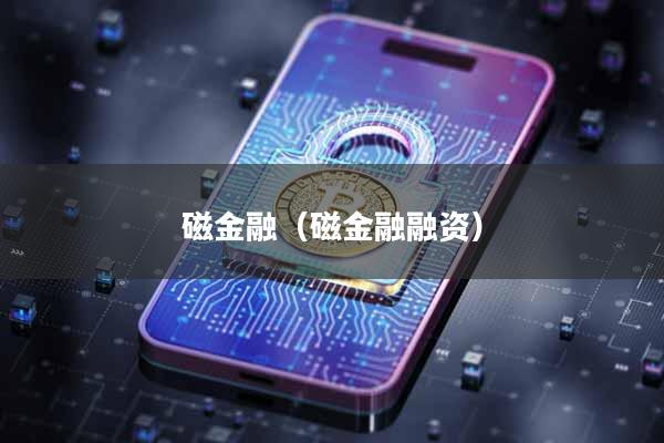 磁金融(磁金融融资)